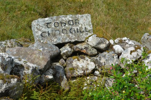 The Holy Well near the High Cashel graveyard Cashel, Connemara, Co. Galway, Ireland