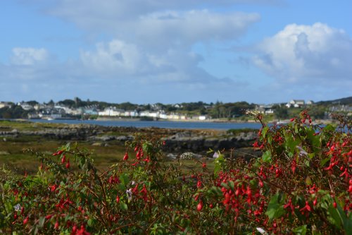 Inish Nii Inish Nee Inishnee Loop Walk, Connemara, Co. Galway, Ireland
