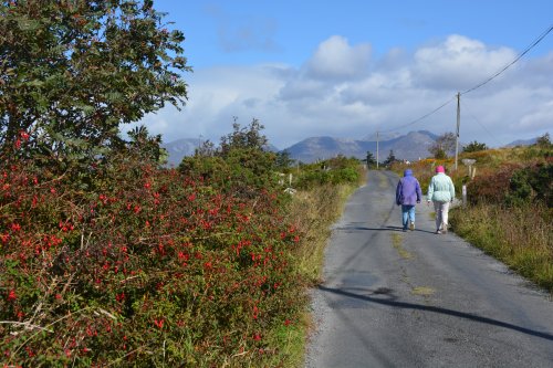 Inish Nii Inish Nee Inishnee Loop Walk, Connemara, Co. Galway, Ireland