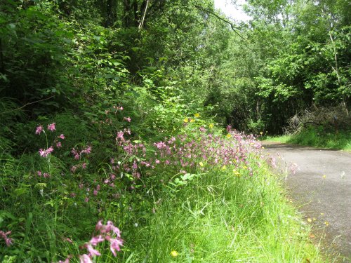 Killykeen Forest Park, Co. Cavan, Ireland