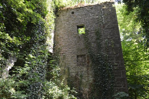 Ruined saw mill of Maddockstown or Inch Bennetts Bridge to Kilkenny section Nore Valley Walk