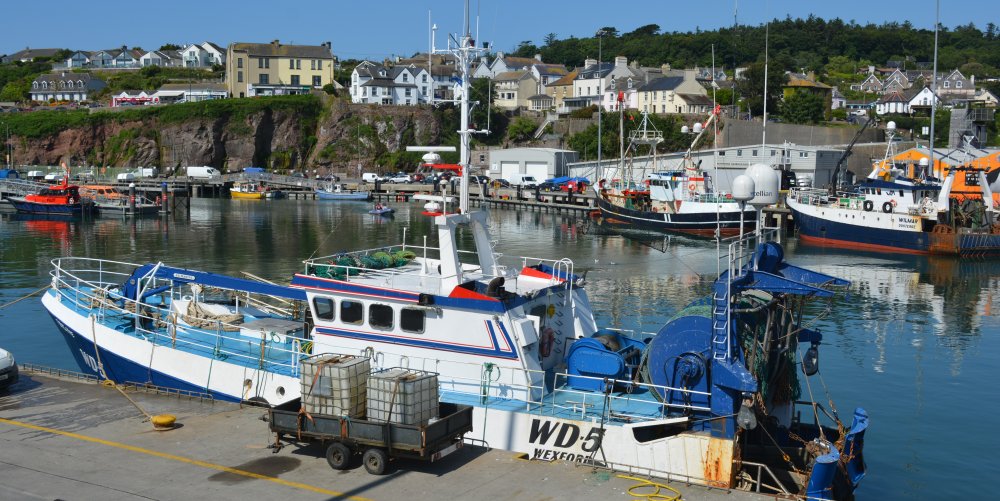 WD.5 VERLAINE (Wexford registered) Dunmore East harbour summer 2025