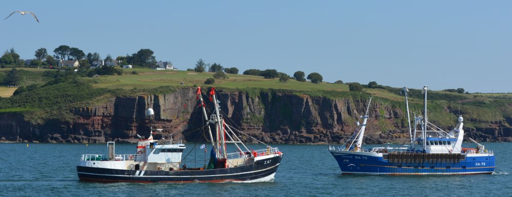 MFV Z.67 RUBENS going out from harbour passing BA.72 HALCYON coming into harbour Dunmore East harbour summer 2025
