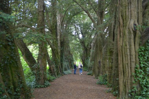  Lismore, Co. Waterford, Ireland