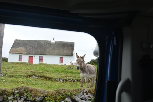 Trip to Inishmore (Inis Mor), Arran Islands, Co. Clare, Ireland, Wild Atlantic Way