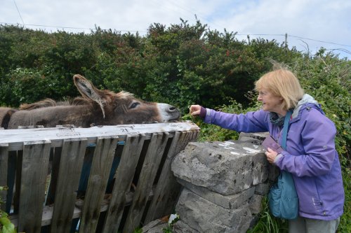Trip to Inishmore (Inis Mor), Arran Islands, Co. Clare, Ireland, Wild Atlantic Way