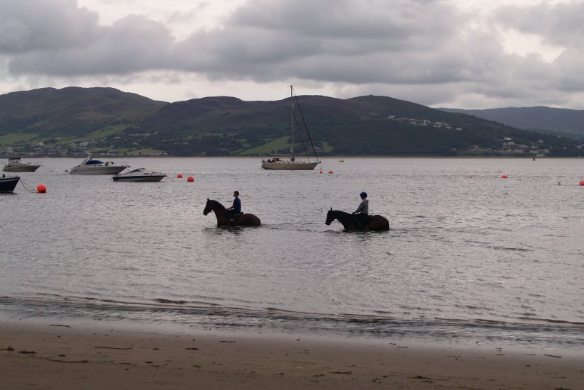 149. Race horses cooling off after a run on Rathmullan Beach on the shores of Lough Swilly, Fanad Peninsula, Co. Donegal, Ireland.