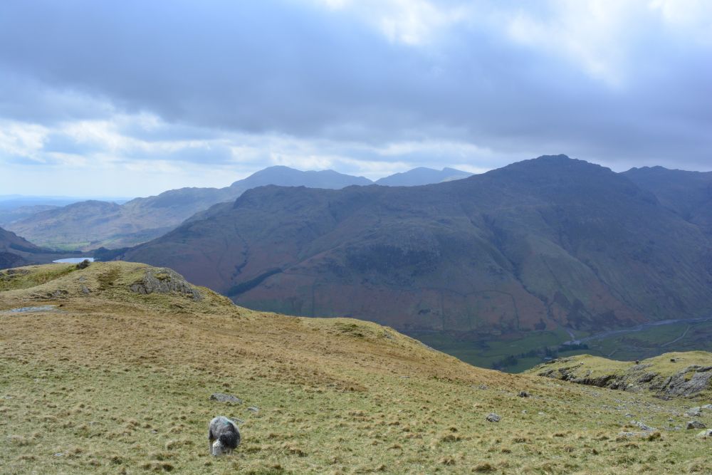 Walks in Langdale Pikes, Lake District