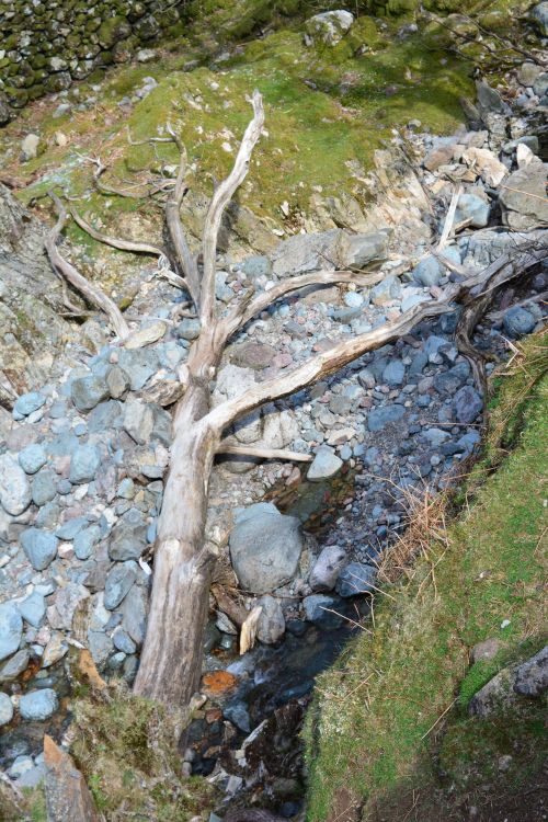 Walks in Langdale Pikes, Lake District
