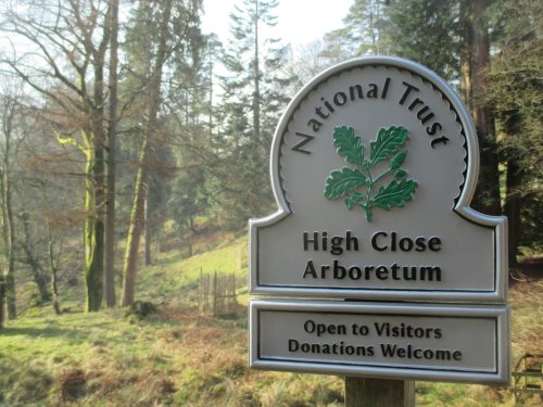Arboretum Walking through the National Trust's High Close Estate, Loughrigg Tarn, Cumbria, England