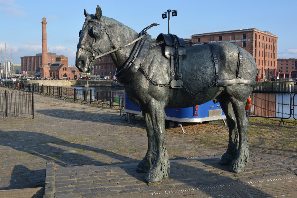 The carter horse sculpture, 'WAITING' by the sculptor Judy Boyt These horses hauled all the merchandise between the docks and warehouses throughout the city streets of. Liverpool's historic docks England