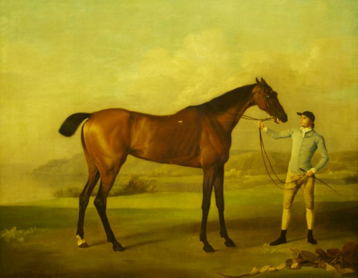 The painting 'Molly Longlegs' by the artist George Stubbs (1724-1806) Walker Art Gallery Liverpool