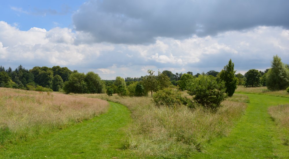 Spring in the Yorkshire Arboretum