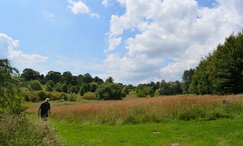 Spring in the Yorkshire Arboretum