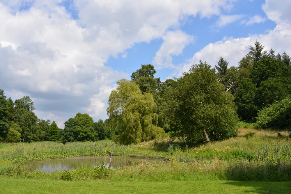 Spring in the Yorkshire Arboretum