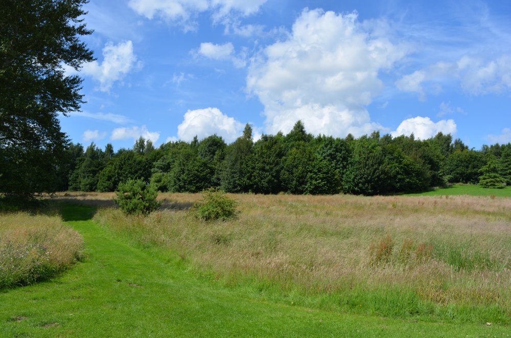 Spring in the Yorkshire Arboretum