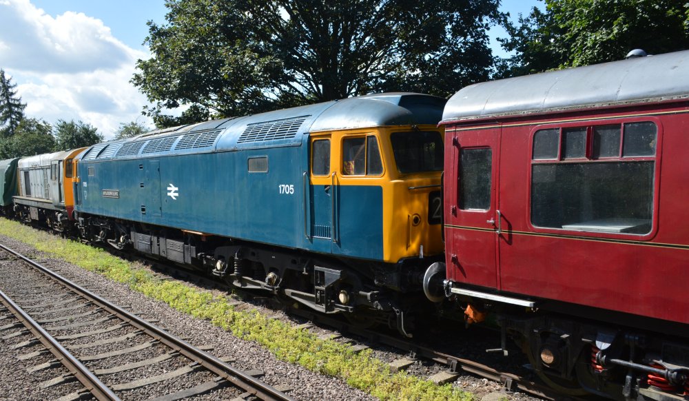 Diesel-electric locomotive Class 47 number D1705 SPARROWHAWK, built in 1965 by Brush Electrical Engineering, Loughborough (D 1705, TOPS 47117) at GCR Loughborough, British Rail livery (GCR, August 2023)