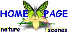 Nature Scenes HOMEPAGE