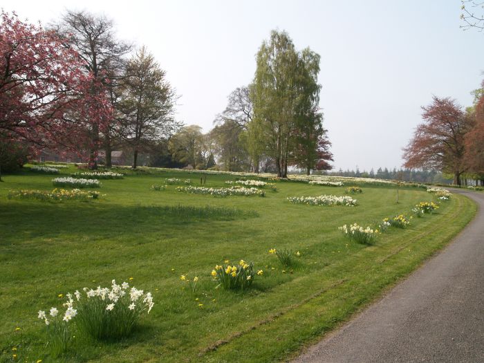 Paxton House