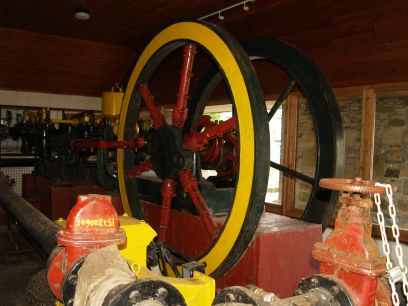 Allenheads