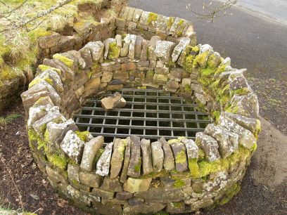Allenheads