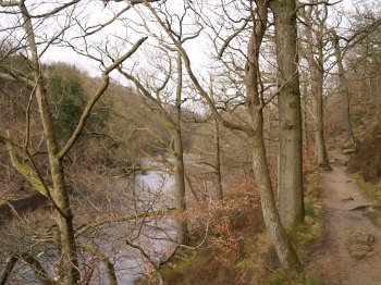 A circular walk to Cotherstone from Barnard Castle on the banks of the River Tees, County Durham, North East England