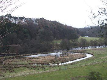 A circular walk to Cotherstone from Barnard Castle on the banks of the River Tees, County Durham, North East England