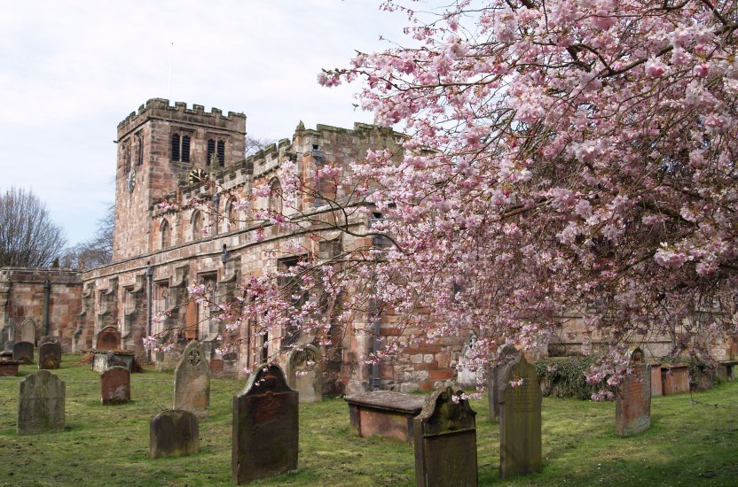 29. Matching sandstone and spring blossom of the medieval church of St Lawrence, Appleby-in-Westmorland, The Eden Valley, East Cumbria.