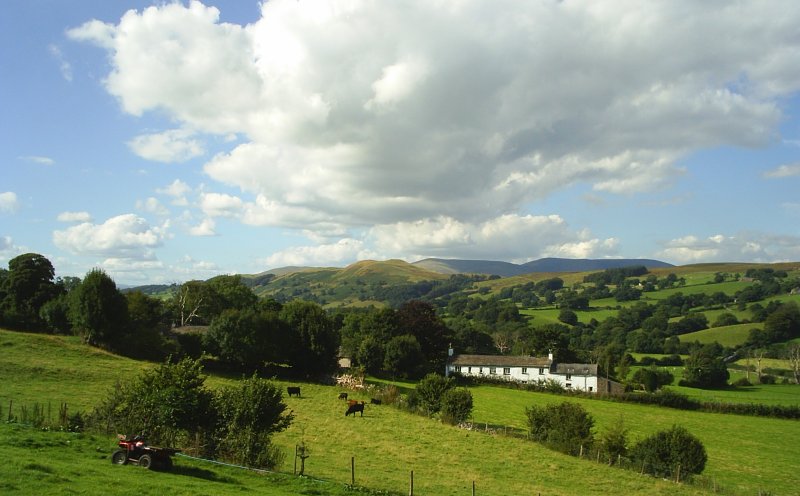 3. Dentdale (2 high summer), near Dent, Howgill Hills and Fells in the distance, Yorkshire Dales National Park, East Cumbria.
