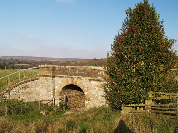  NYMR North Yorkshire Moors Railway - a classic steam heritage line