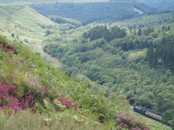  NYMR North Yorkshire Moors Railway - a classic steam heritage line