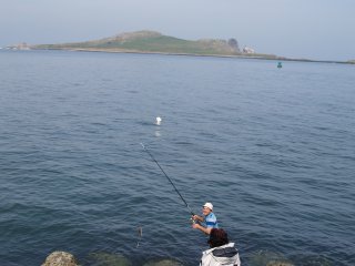 Beshoff's seafood restaurant is also just down the road from the harbour. It provides most welcome refreshment after walking from Sutton Cross to Howth all the way round on the cliff walk.