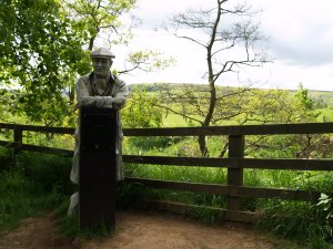 Wind me up and hear what I have to say about this area!