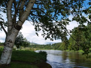 A stroll by the beautiful setting of the River Nore - Inistioge, County Kilkenny, Ireland