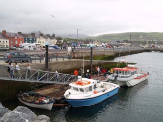 The small boats that take you to see Fungie the Dolphin, Dingle Harbour, County Kerry