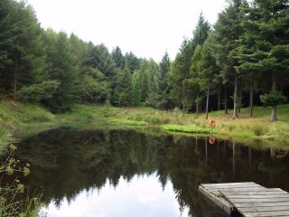 The pond-lake at Botton Head - Botton Community, Danby Dale, North York Moors, North Yorkshire, England
