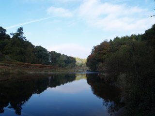 River Eden in autumn