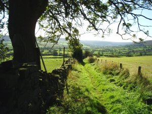 Much good walking in nearby Danby dale, Westerdale and Commondale.