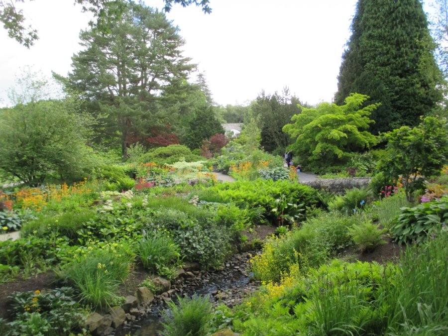 Harlow Carr RHS gardens near Harrogate