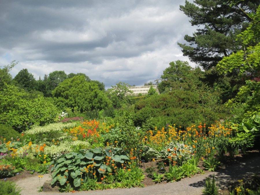 Harlow Carr RHS gardens near Harrogate