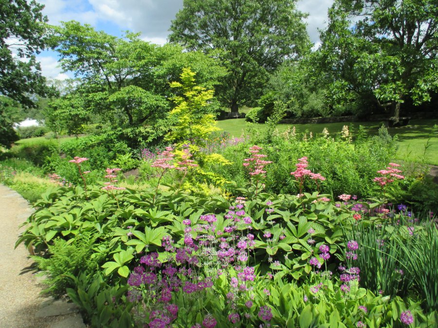 Harlow Carr RHS gardens near Harrogate