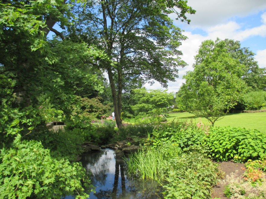 Harlow Carr RHS gardens near Harrogate