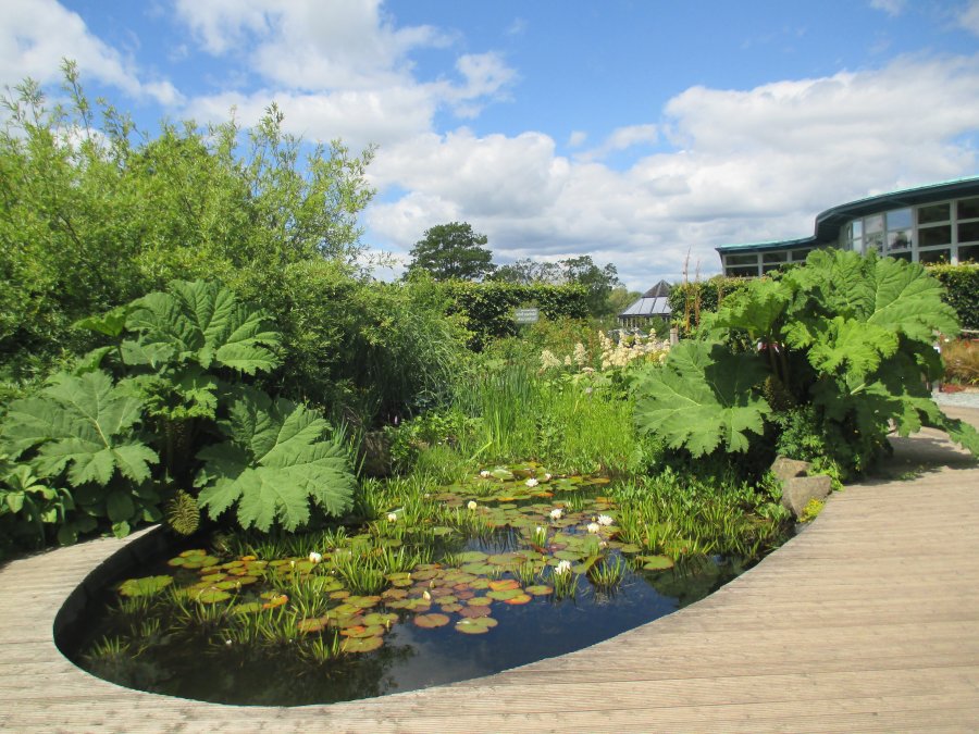 Harlow Carr RHS gardens near Harrogate