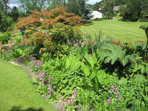 Harlow Carr RHS gardens near Harrogate