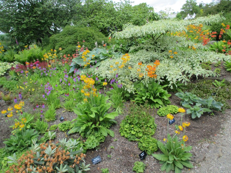 Harlow Carr RHS gardens near Harrogate