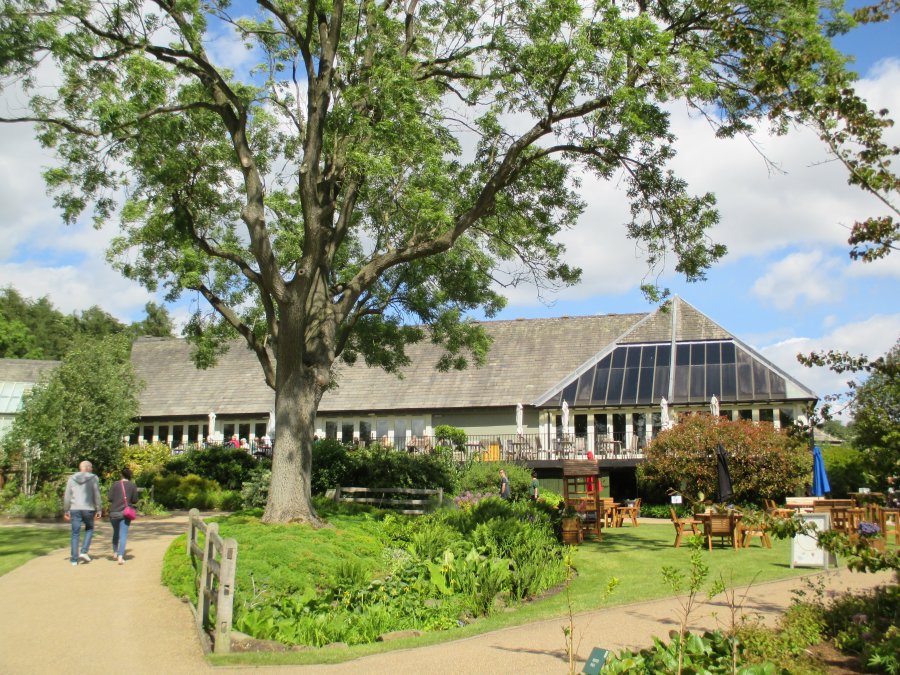 Harlow Carr RHS gardens near Harrogate