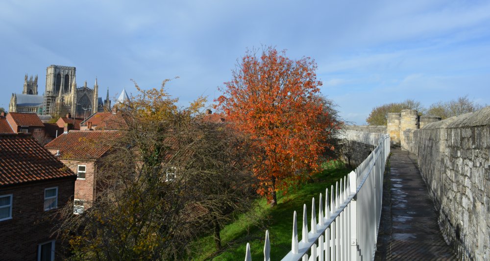 walking on the city walls of York