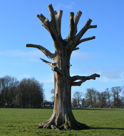 River Ouse walk from York to Beningbrough Hall