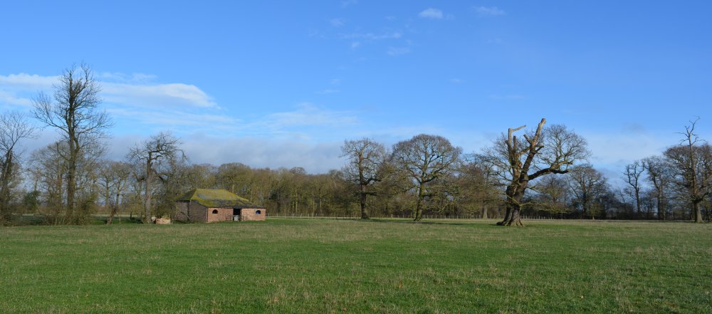 River Ouse walk from York to Beningbrough Hall