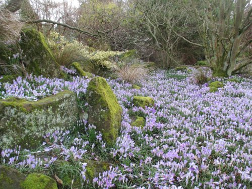 Leicester University Botanic Gardens